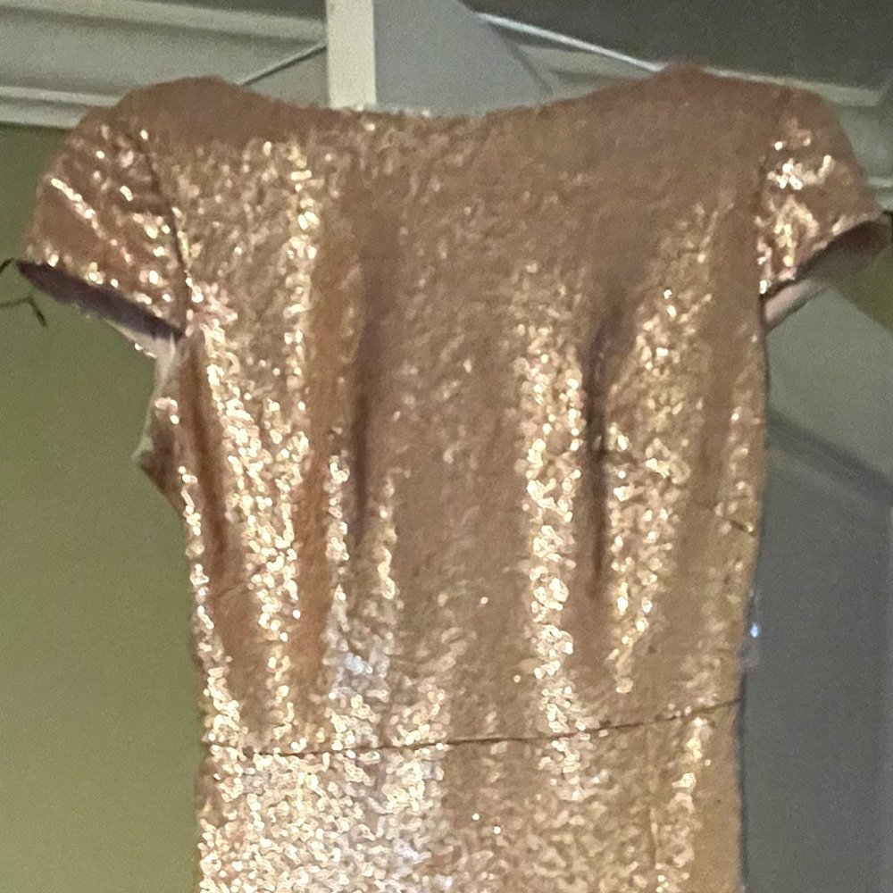 Elle Sequin Gown Sz 2 OR Sz 0